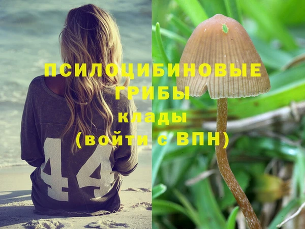 тгк Волосово